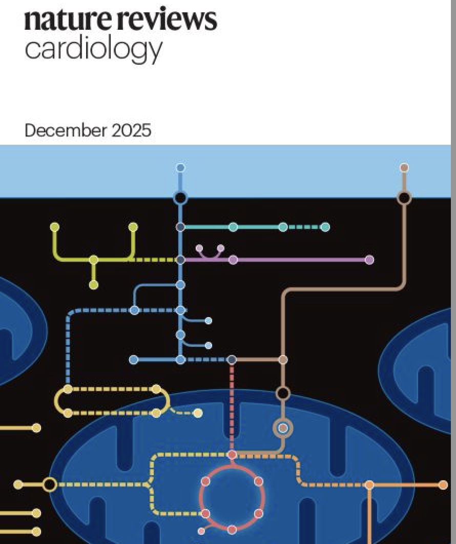 ������������ & ����� ��� �������